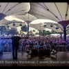 2026-07-26 18.36.03_klein